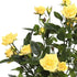 Vickerman 15" Artificial Yellow Mini Diamond Rose Bush - Pack of 5 - Premium Faux Flowers for Wedding or Home Decor - Maintenance Free Decorative ...