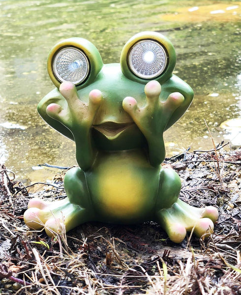 Solar Powered Frog Outdoor LED Garden Light Decor (SEE - NO)...