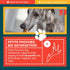 Split Elk Antler for Small Dogs- Grade A Long Lasting Chew for Aggressive Chewers - Elk Antlers Dog Antler Chews - Real, Organic Treats & Toys - N...