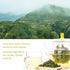 Oriarm Anxi Tie Guan Yin 250g - Chinese Tieguanyin Oolong Tea Loose Leaf - Fujian Wu Long Green Tea Ti Kuan Yin...