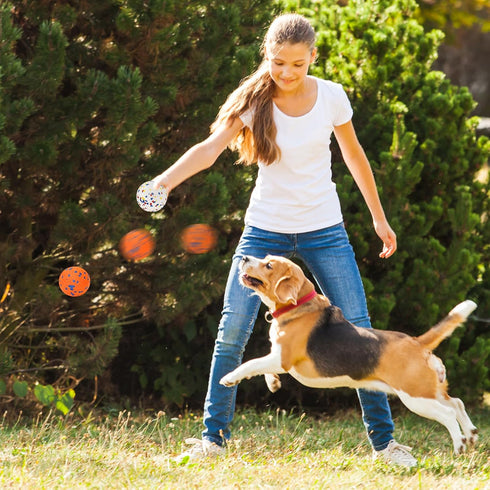 Dog Balls for Aggressive Chewers, Indestructible Bouncy Floating Balls for Training Dog Catch and Fetch, Sturdy Solid Tennis Ball Toys for Large M...