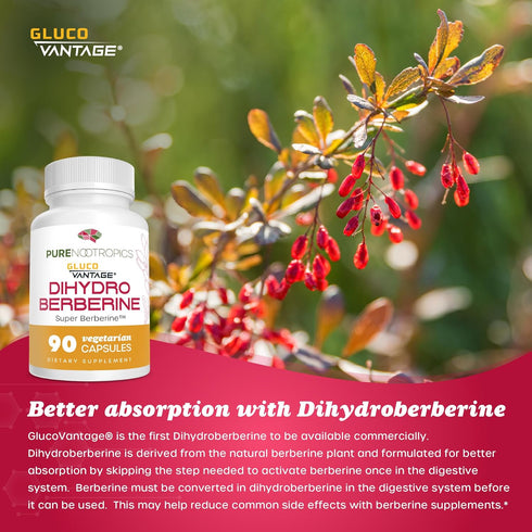 Dihydroberberine (GlucoVantage) 100 mg, 90 capsules | Super Berberine Supplement...