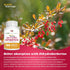 Dihydroberberine (GlucoVantage) 100 mg, 90 capsules | Super Berberine Supplement...