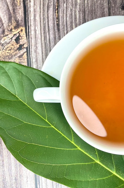 Palm Beach Medicinal Herbs - Avocado Leaf Tea - Pure Herbal Tea Series, 30ct...