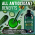 Chlorophyll Liquid Drops 6000 mg - Premium Liquid Chlorophyll Supplement - All-in-One Antioxidant for Immune Boost, Energy Increase, Digestion Sup...