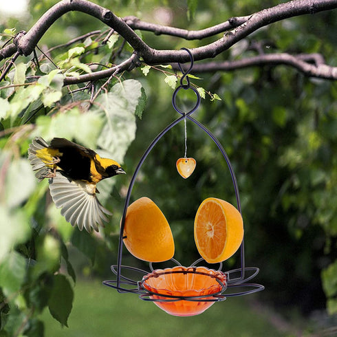 FORUP Oriole Bird Feeder, Orange Fruit Oriole feeder...