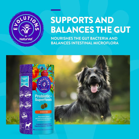 NaturVet Evolutions Probiotic & Superfoods 90ct Soft Chews for Dogs - Prebiotic & Probiotic Blend, Digestive Enzymes, Bone Broth, Omega's - Nouris...