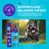NaturVet Evolutions Probiotic & Superfoods 90ct Soft Chews for Dogs - Prebiotic & Probiotic Blend, Digestive Enzymes, Bone Broth, Omega's - Nouris...