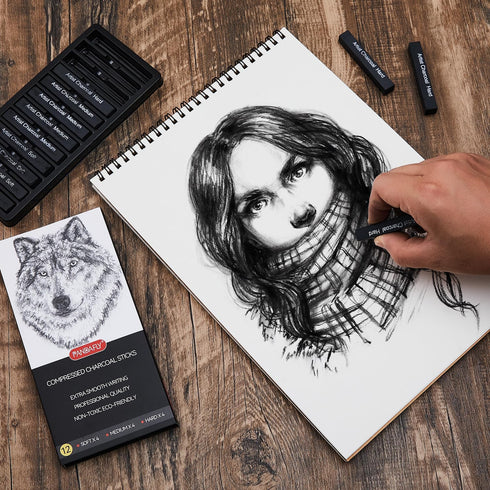 PANDAFLY Compressed Charcoal Sticks, 12 Pieces (Soft, Medium, Hard) Square Vine Charcoal Sticks for Drawing, Sketching, Shading, Charcoal Drawing ...
