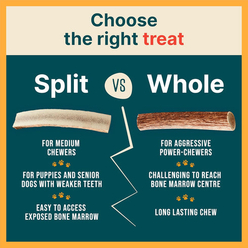 Split Elk Antler for Small Dogs- Grade A Long Lasting Chew for Aggressive Chewers - Elk Antlers Dog Antler Chews - Real, Organic Treats & Toys - N...