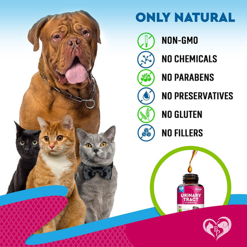 Cat & Dog Urinary Tract Infection Treatment & Natural UTI Medicine Cranberry-Kidney+Bladder Support Supplement - Best Prevention Incontinence, Bla...