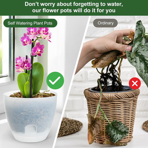Plant Pots 6 Inch Set of 3, Self Watering Pots Flower Pots Indoor Outdoor, Plastic Planters with Drainage Hole Saucer Reservoir (Clear)...