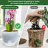 Plant Pots 6 Inch Set of 3, Self Watering Pots Flower Pots Indoor Outdoor, Plastic Planters with Drainage Hole Saucer Reservoir (Clear)...