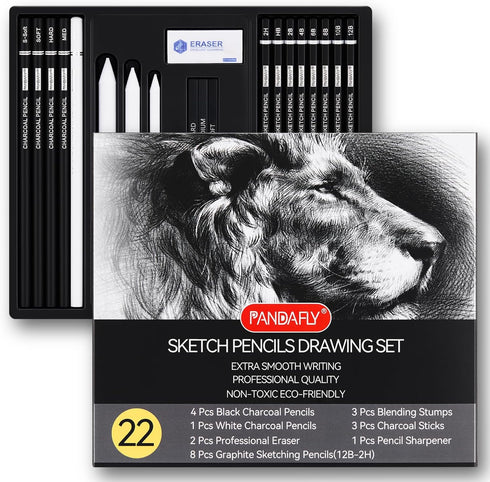 PANDAFLY Drawing Sketching Pencil Set, 22 Piece Pro Art Pencil Kit - Graphite Pencils (12B-2H), Black and White Charcoal Pencils, Charcoal Sticks,...