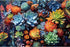 Puzzle for Adults 500 Pieces-Succulents Jigsaw Puzzle Highlights The Multitude of Color in The World of Succulents-Thick, Sturdy Pieces Challengin...