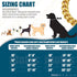 Gold Dog Collar 10mm Slip Collar Gold Cuban Link Dog Chain Collars Stainless Steel Heavy Duty Gold Collar for Dogs.(14")...
