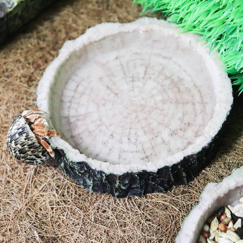 3 Pack Reptile Water Dish Food Bowls, Hermit Crab Food Dish, Bearded Dragon Water Bowl, Suitable for Hermit Crab Bearded Dragon Lizard Gecko Torto...