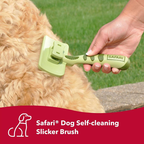 Coastal Pet Safari Dog Self-Cleaning Slicker Brush - Dog Deshedding Brush - Prevents Mats and Tangled Hair - For Dogs with Short or Long Hair - Sm...