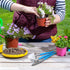 Mini Gardening Tools, 3Pcs Stainless Succulent Tools Kit Shovel Rake Trowel, 2 Colors Hand Shovel for Gardening for Indoor Small Plants, Succulent...