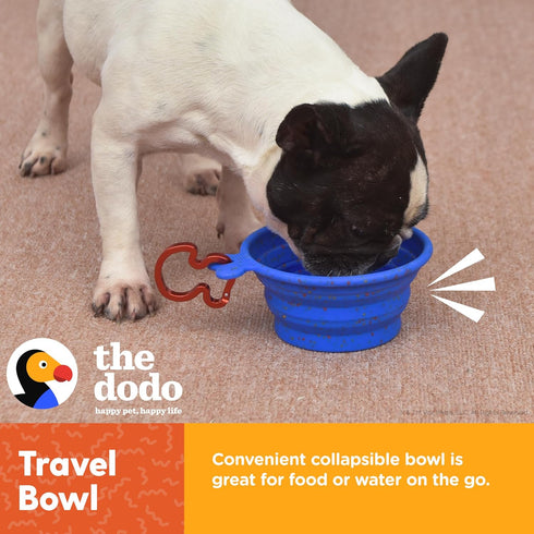 The Dodo Collapsible Dog Bowl, Blue; Travel Dog Bowl That Folds Flat and Clips with Carabiner for Easy Storage and Carry...