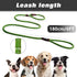 PetiFine Slip Lead Dog Leash,6FT x 1/2" Reflective Durable Dog Training Leash, Heavy Duty Adjustable Nylon Dog Rope Leash Slip Leash for Small Med...