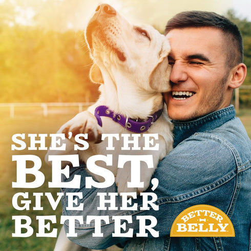 Better Belly Highly Digestible Rawhide Dental Chews, Treat Your Dog to a Chew with NO Artificial Colors or Flavors 4 Count (Pack of 1)...
