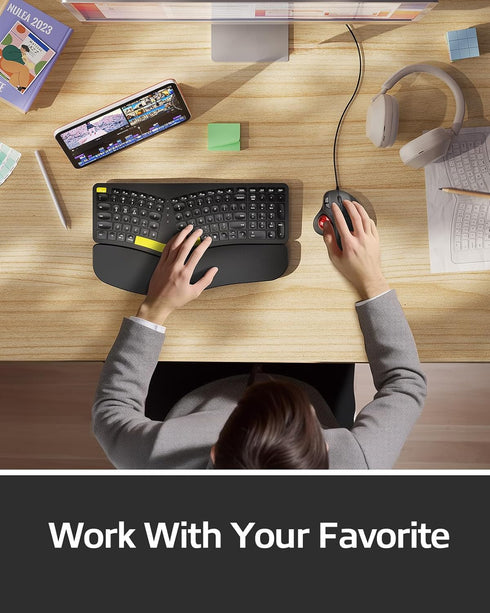 Nulea M509 Trackball Mouse Wired, Ergonomic Design, Easy Thumb Control, Precise & Smooth Tracking, 2-in-1 Interface (Type A &Type C), Compatible f...
