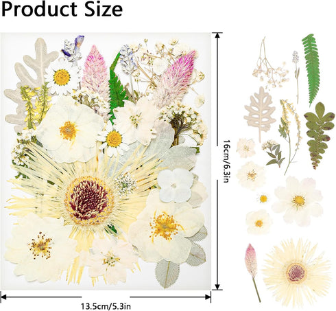 50Pcs Dried Pressed Flowers Real Pressed Flowers Natural Dry Leaves Bulk Mixed Colorful Herbs Kit with Tweezers for Scrapbooking DIY Candle Jewelr...