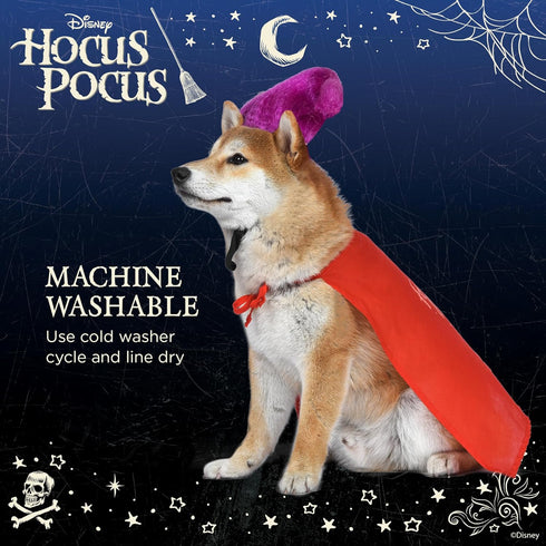 Hocus Pocus Mary Sanderson Dog Costume, Large | Halloween Costumes for Dogs, Dog Witch Costume, Official Dog Product of Disney for Pets...