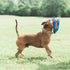 ChuckIt! Fetch Flight Dog Toy...
