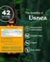 Herb Pharm Usnea Liquid Extract for Cleansing and Detoxification - 1 Ounce (DUSNEA01)...