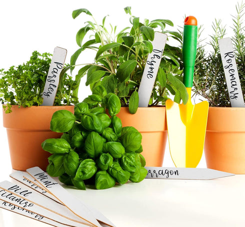 Herb Garden Stakes Wood Garden Labels Plant Markers Garden Signs Farmhouse Decor for Plant Garden Seed Potted Herbs Flowers Vegetables Holiday Far...