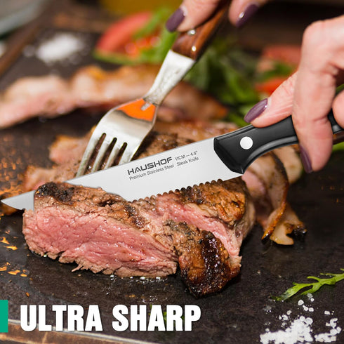 HAUSHOF Steak Knives Set of 4, Premium Stainless Steel Serrated Steak Knife Set with Gift Box, Full Tang and Ergonomic Handle, Gifts Knife Set for...