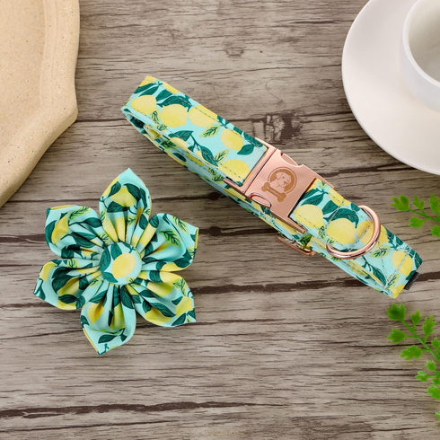 MR. CHUBBYFACE Dog Collar with Bowtie Summer Lemon Dog Collar Adjustable Boy Girl Flower Dog Collar Bowtie for Small Medium Large Dog...