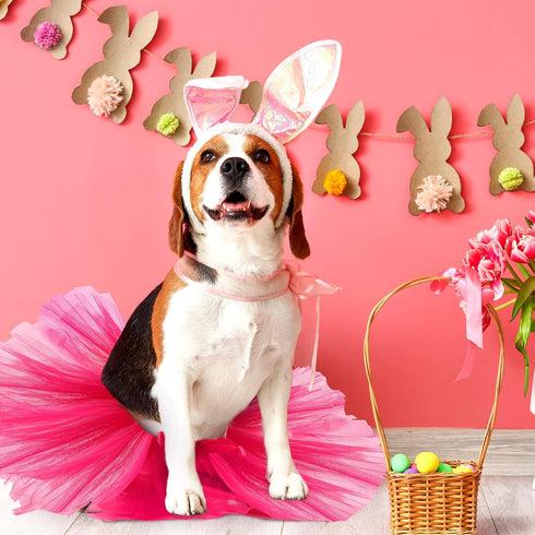 2 Pcs Dog Crown Headband Dog Tutu Dress Set Crystal Rhinestone Dog Tiara Crown Tutu Skirt Dog Dress Cute Pet Costume for Puppy Dog Birthday Party ...