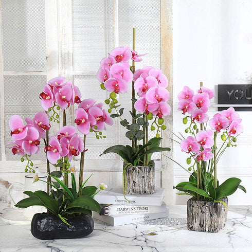 FagusHome 6 PCS Artificial Phalaenopsis Orchids Leaves 11 inches Green Faux Orchids Leaf (6 Pcs)...
