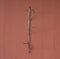 Ancient Graffiti Triple Wire Twig Hook,Gray, 19.25"H...