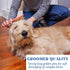 Pet Grooming Detangler Pin Dog Brush For Shedding and Removing Loose Fur, Premium Lightweight Wood with Gold Plated Pins for Long Hair (Pin Brush ...