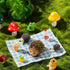 13 Pieces Miniature Fairy Garden Accessories Resin Mini Hedgehogs and Mushroom Garden Accessories Fairy Outdoor Garden Animals Figurines for Fairy...