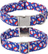 Lionet Paws Design Dogs Collar Cute Flower 4th of July Dog Collars for Girl Female Medium Large Dogs with Sundae L...