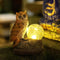 Solar Garden Statue Decor,Owl Standing On The Stone,Beside A Cracked Glass Ball with Warm Light,Polyresin for Patio, Lawn, Yard Art Decoration, Ho...