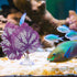 balacoo 2pcs Betta Fish Leaf Artificial Aquarium Plants Fake Plants Betta Bed Leaf Hammock for Betta Fish Resting Leaf Plastic Aquarium Plants Lea...