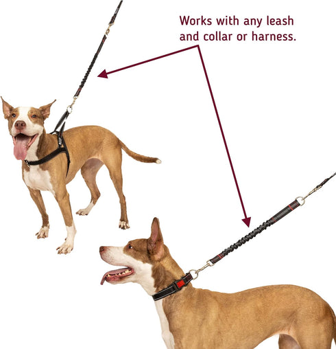 Leashboss Pattern Bungee Dog Leash Extension, 18" Shock Absorbing Lead Extender, Pattern Collection (18 Inch, Black Reflective)...