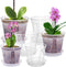 Plant Pots for Indoor Plants, 6 Pack 6.4/5.5/4.7in Clear Plastic Planter with Drainage Holes and Saucers for Orchid, African Violet, Spider Plant,...