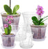 Plant Pots for Indoor Plants, 6 Pack 6.4/5.5/4.7in Clear Plastic Planter with Drainage Holes and Saucers for Orchid, African Violet, Spider Plant,...