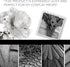 Foam Clay Air Dry Modeling Clay - Moldable Cosplay Soft Clay for Slime Add Ins, Molding Clay for Sculpting with Eva Foam - 300 Gram Gray Air Dry C...