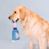 Fringe Studio Plush Dog Toy, Good Times and Tan Lines, Pet Shop Collection (314298)...