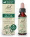 Bach Original Flower Remedies, Walnut for Adapting to Change (Non-Alcohol Formula), Natural Homeopathic Flower Essence, Holistic Wellness and Stre...