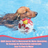 Dog Toys Soccer Ball with Straps, Outdoor Dog Toys, Puppy Birthday Gifts, Dog Water Toy, Durable Dog Balls for Small Medium Dog (6 Inch)...