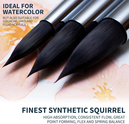 ARTEGRIA Watercolor Brush Set, 4 Professional Pointed Round Soft Synthetic Squirrel Paint Brushes, Sizes # 2, 4, 6, 8...